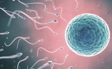 试管进行内膜转化是不是就快要移植胚胎了？