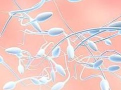 明明试管婴儿生殖医院(RFC)：移植怀孕成功率高达88%是真的嘛